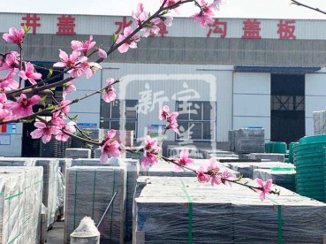 花滿枝頭，春意盎然